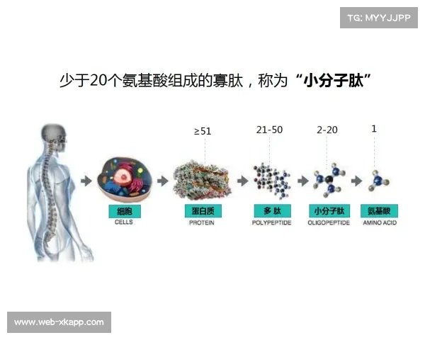 日本松元克央蝶泳陆训体系公开 核心肌群负荷算法获得专利保护